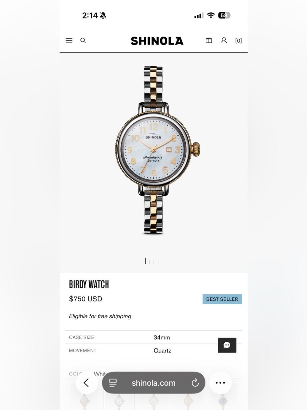 Shinola Birdy Watch